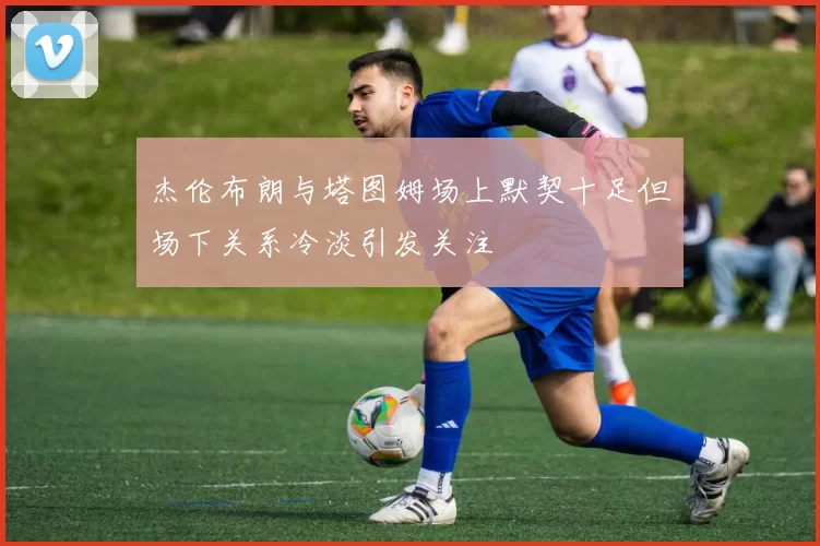 杰伦布朗与塔图姆场上默契十足但场下关系冷淡引发关注